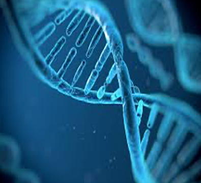 Genetic Tests (Health, Nutrition, Dermatology Genetic tests)